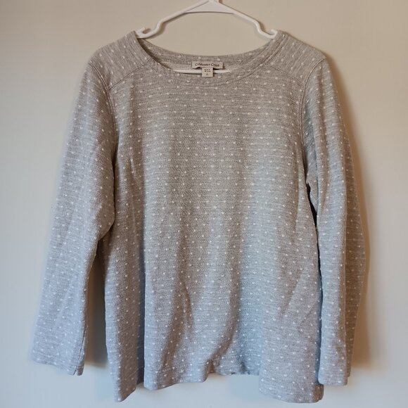 🍁 Coldwater Creek Gray Polka Dot Top Size L 14 - Picture 1 of 3